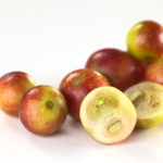 Camu Camu und Vitamin C / © lldi / www.fotolia.com