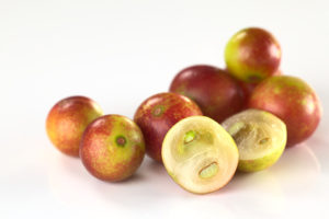 Camu Camu & Vitamin C/ © lldi / www.fotolia.com