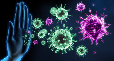 Immunabwehr